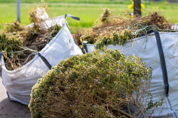 Best Residential Junk Removal  in Berryville, TX